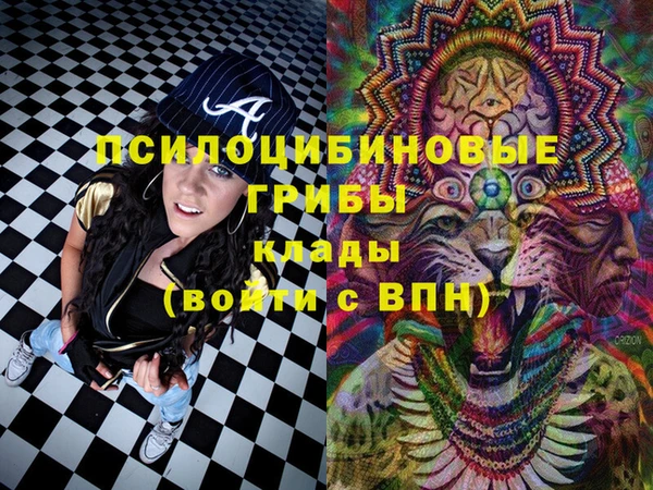 бошки Лиски